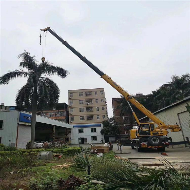 西秀汽车吊出租多少钱？全面解析与市场行情